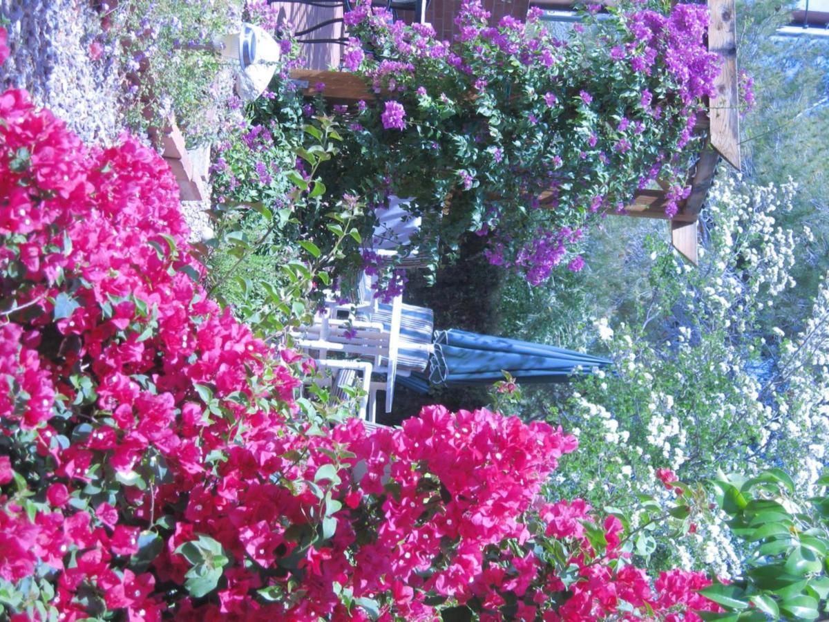 Mon Ami Bed And Breakfast Tucson Dış mekan fotoğraf