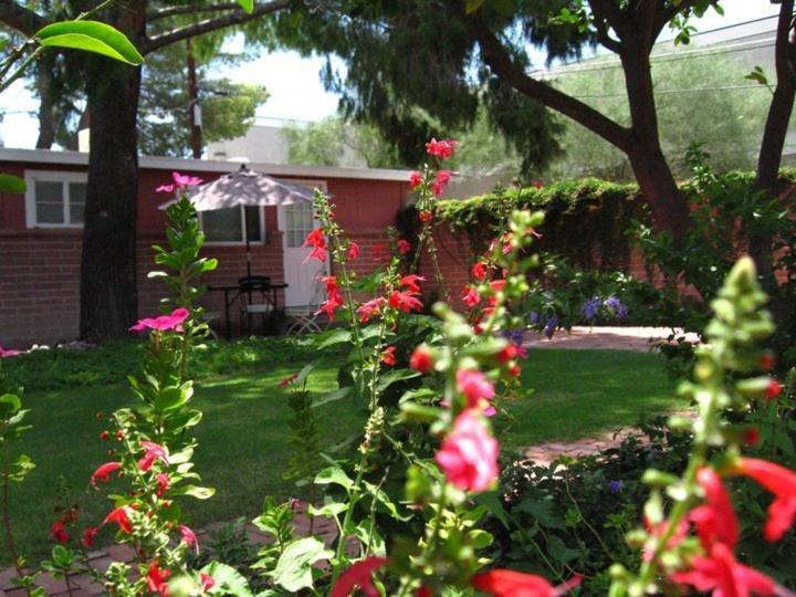 Mon Ami Bed And Breakfast Tucson Oda fotoğraf
